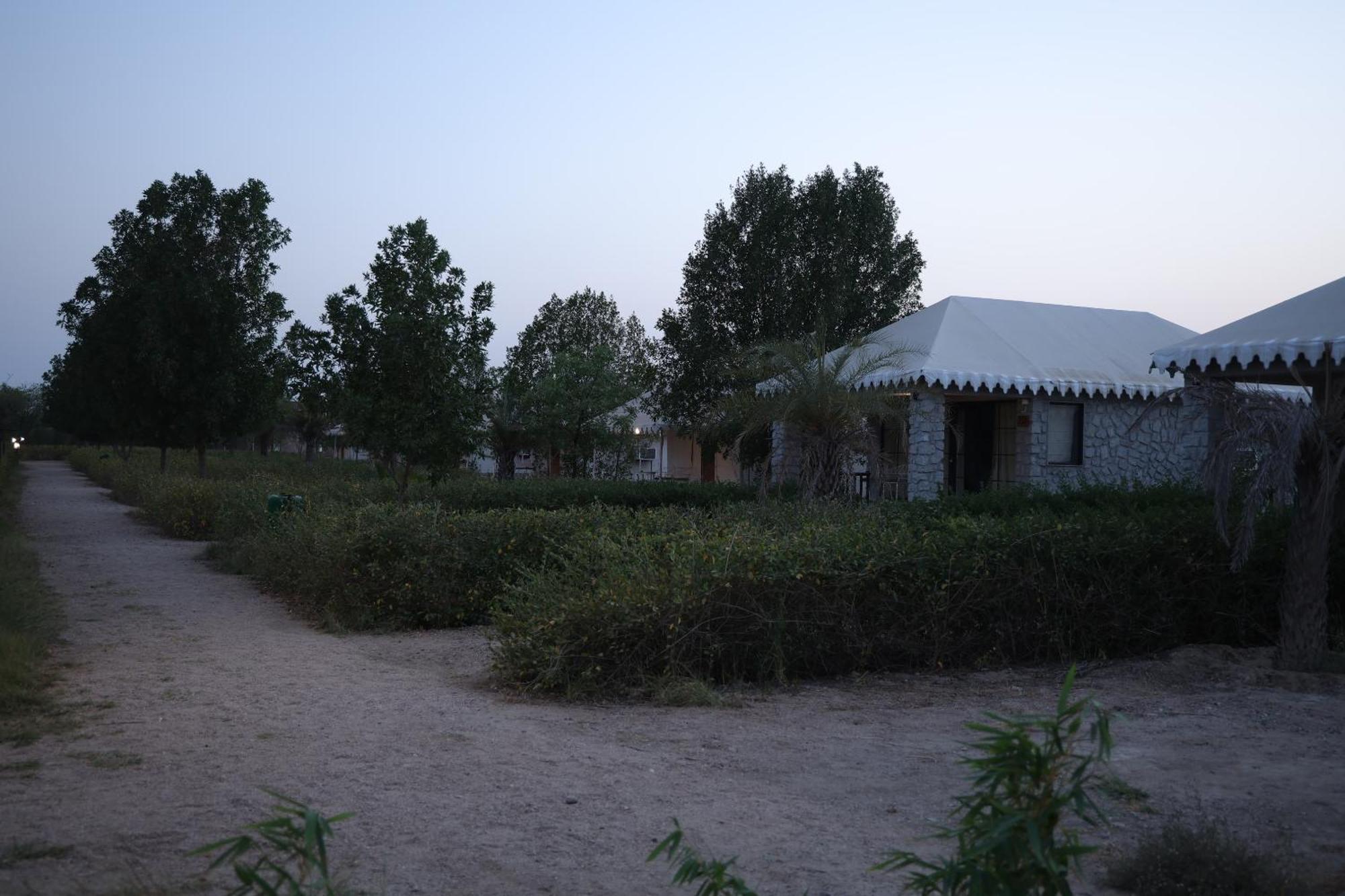 Hotel Jawai Bera Leopard Camp Zewnętrze zdjęcie