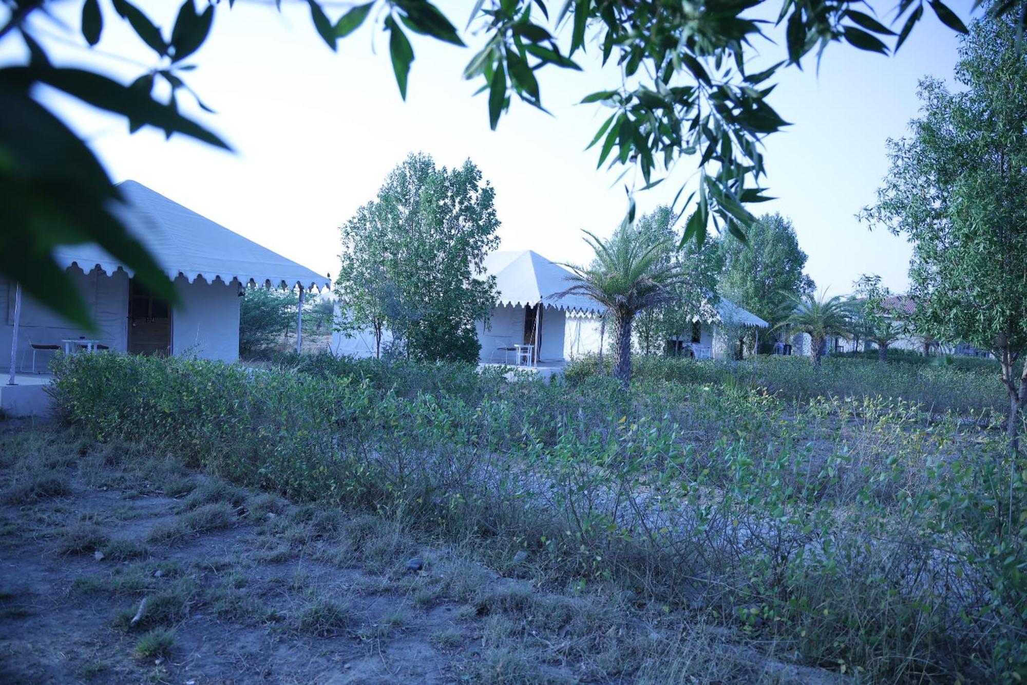 Hotel Jawai Bera Leopard Camp Zewnętrze zdjęcie